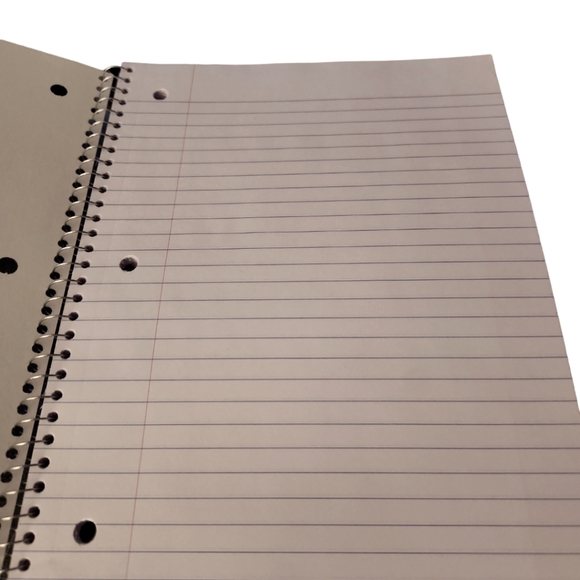 Spiral Notebook Back to School 100 Pages & Pencil Case Hedgehog - Picture 2 of 2